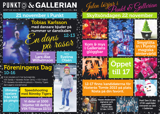 Föreningensdag_555